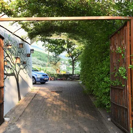 #ioniahouse Surrel * 티라나