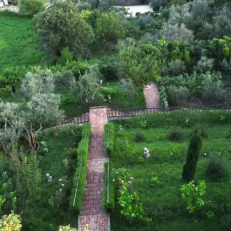 #ioniahouse Surrel Willa