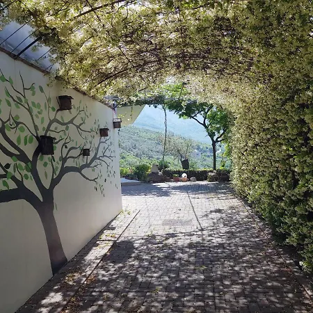 Willa #ioniahouse Surrel Tirana