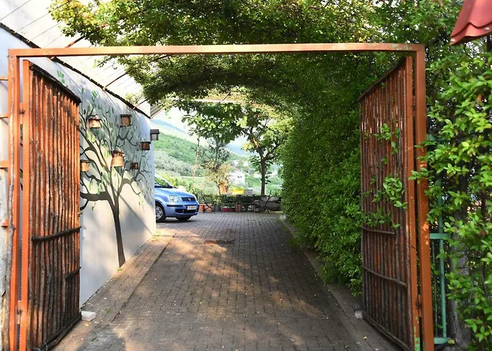 #ioniahouse Surrel * Tirana