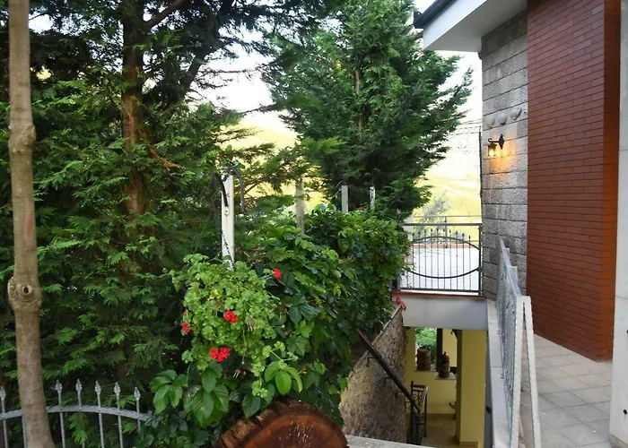 Willa #ioniahouse Surrel *